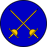 Rapier Protector